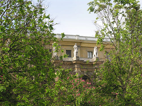 Foto Hofgarten - München